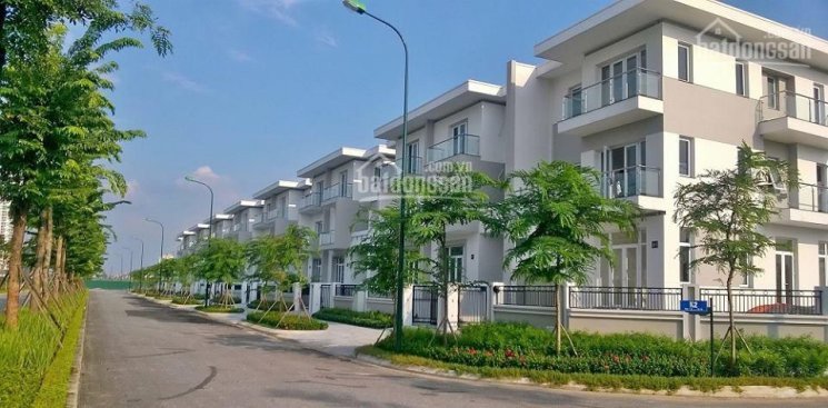 Chính Chủ Bán Nhanh Biệt Thự Khu K2 Và K4 Ciputra Suất Ngoại Giao, 180m2, Mặt đường 30m, Giá Chỉ 23 Tỷ 2