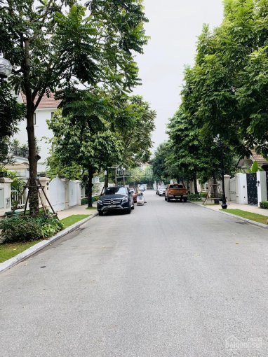 Chính Chủ Bán Nhanh Biệt Thự Song Lập, Hoa Sữa 09,vinhomes Riverside, 225m2, Hướng đn, Xây Thô 2