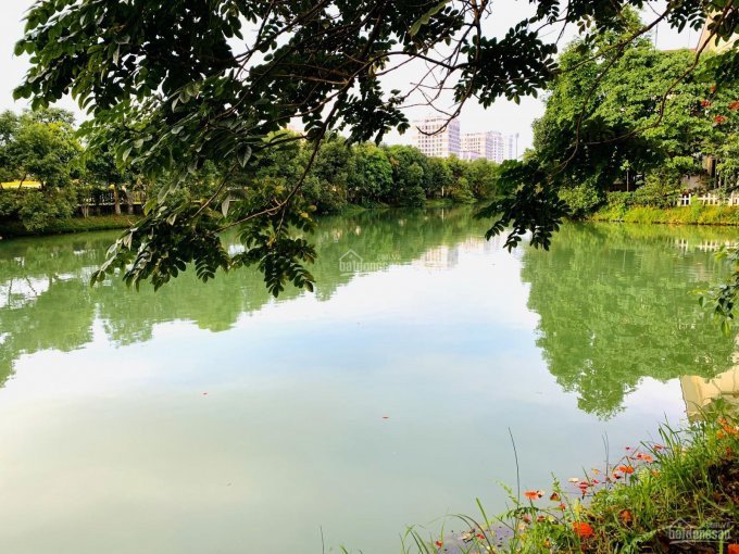 Chính Chủ Bán Nhanh Biệt Thự Song Lập, Hoa Sữa 09,vinhomes Riverside, 225m2, Hướng đn, Xây Thô 3