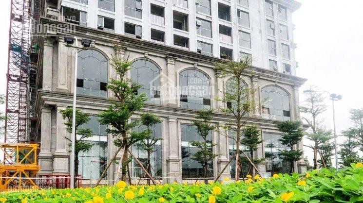 Chính Chủ Bán Nhanh Căn đẹp Nhất Sunshine Riverside, Ck 4%, Căn Góc 3pn, 100m2 Giá 4 Tỷ, View Sông Hồng Siêu đẹp 5