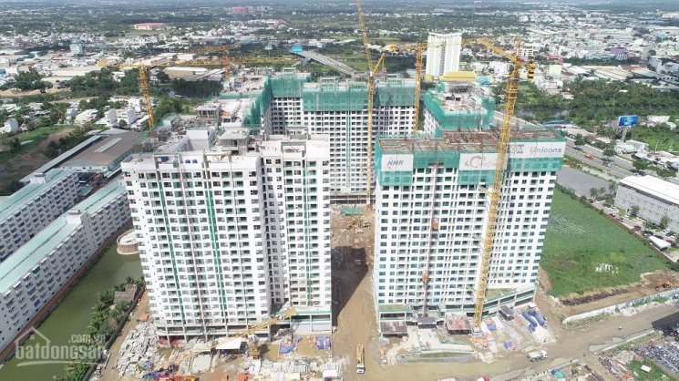 Chính Chủ Bán Nhanh Căn Hộ Akari City, Dt: 56m2, 2pn+2wc Hướng Nam, View Hồ Bơi; Giá Gốc Chủ đầu Tư Chỉ Từ: 1,85 Tỷ 3