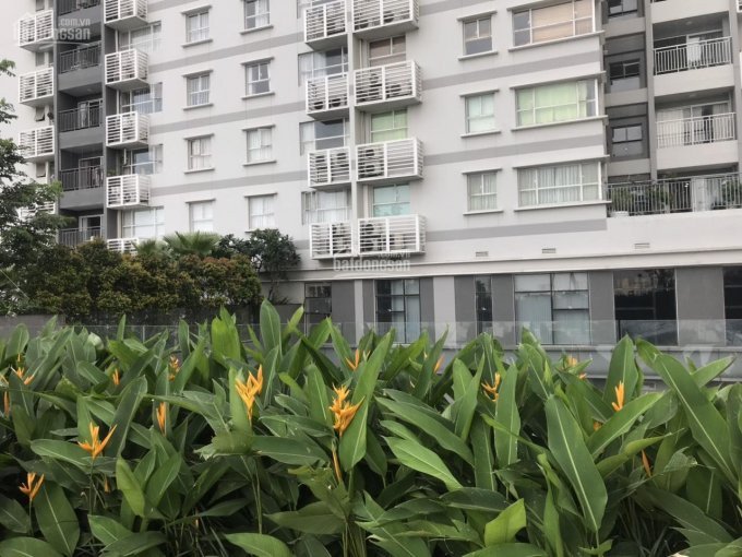 Chính Chủ Bán Nhanh Căn Hộ Sunrise Citi North 98m2 Giá 4 Tỷ 3 7