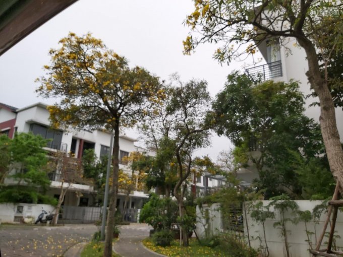 Chính Chủ Bán Nhanh  Cắt Lỗ Liền Kề Góc Botanic Gamuda - 244m2,giá Mua 155 Tỷ Bàn Lỗ 14 Tỷ Bao Phílh:0975674862 2