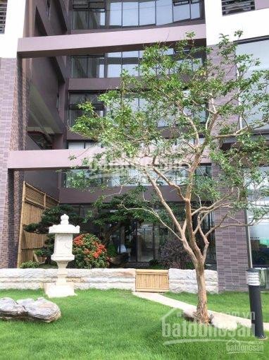 Chính Chủ Bán Nhanh Ch Kikyo Quận 9 (55m2 Giá 185 Tỷ), (69m2 Giá 22 Tỷ), Hỗ Trợ Vay 80%, Lh: 0902550515 3