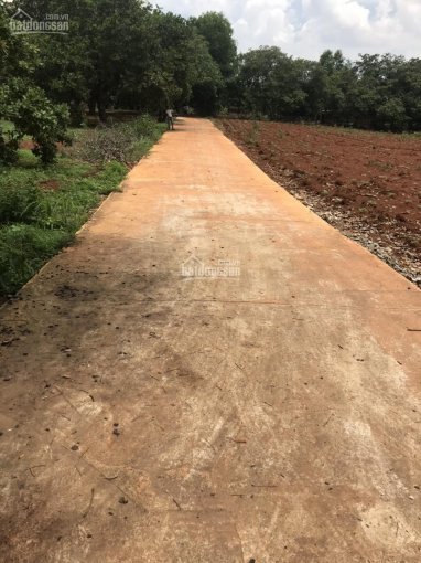 Chính Chủ Bán Nhanh đất 50x40m Long Thành Có Sổ Sẵn, Giá 1,26 Triệu/m2 3