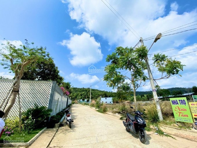 Chính Chủ Bán Nhanh đất Cây Thông Ngoài - Giá Rẻ - Sổ Hồng Riêng - đường ô Tô Có Vỉa Hè - đất Sạch, Lh: 0901444429 4