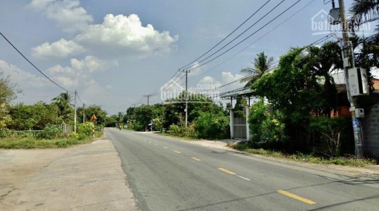 Chính Chủ Bán Nhanh đất Diện Tích Lớn 6500m2 đã Lên Thổ Cư 100% Chủ đất Sẽ Hỗ Trợ Xin Phân Lô Bán Nền 3