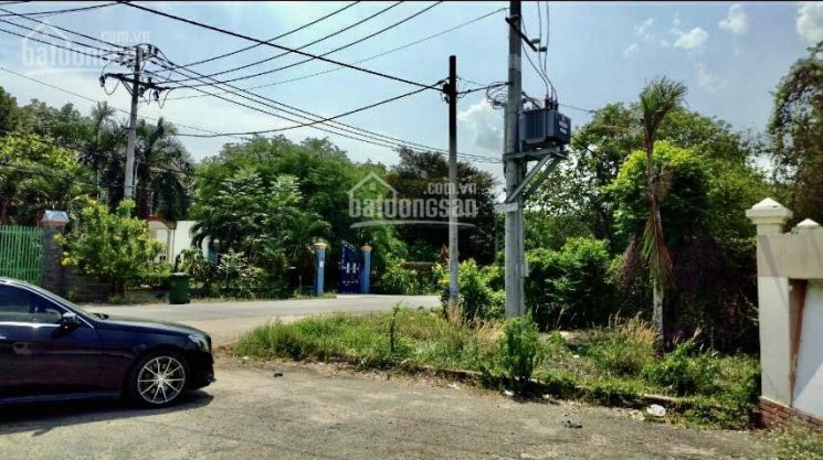 Chính Chủ Bán Nhanh đất Diện Tích Lớn 6500m2 đã Lên Thổ Cư 100% Chủ đất Sẽ Hỗ Trợ Xin Phân Lô Bán Nền 4