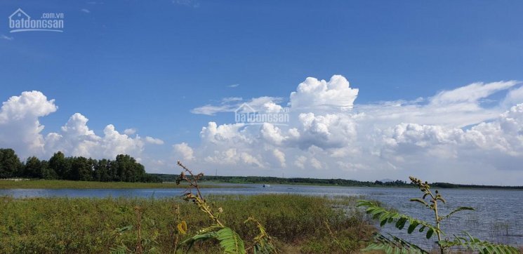 Chính Chủ Bán Nhanh đất Mặt Tiền Hồ Cầu Mới, Thừa đức, Cẩm Mỹ, Cách Sân Bay 4km, Giá 750 Triệu/sào, Lh 0967808386 3