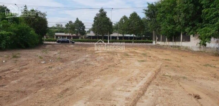 Chính Chủ Bán Nhanh  đất Mặt Tiền Nguyễn Chí Thanh, 4800m2, Sổ Hồng Có Thổ Cư 220m2 6