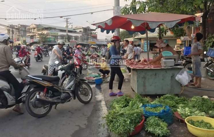 Chính Chủ Bán Nhanh đất Tc Sổ Sẵn đường Nguyễn Phúc Chu Sát Chợ Trảng Dài, Biên Hòa, 720tr/100m2, 0908861894 5