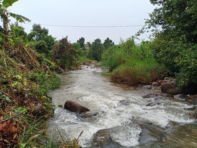 Chính Chủ Bán Nhanh đất Thích Hợp Làm Nghỉ Dưỡng View Siêu đẹp Gần 300m Giáp Suối Lớn Kh: 0896129139 6