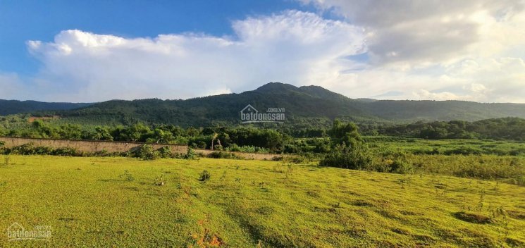 Chính Chủ Bán Nhanh đất Thổ Cư 3500m Giá Rẻ, View Cực Thoáng, đẹp Tại Xã Cư Yên , Lương Sơn