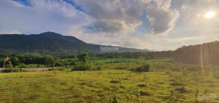 Chính Chủ Bán Nhanh đất Thổ Cư 3500m Giá Rẻ, View Cực Thoáng, đẹp Tại Xã Cư Yên , Lương Sơn 3