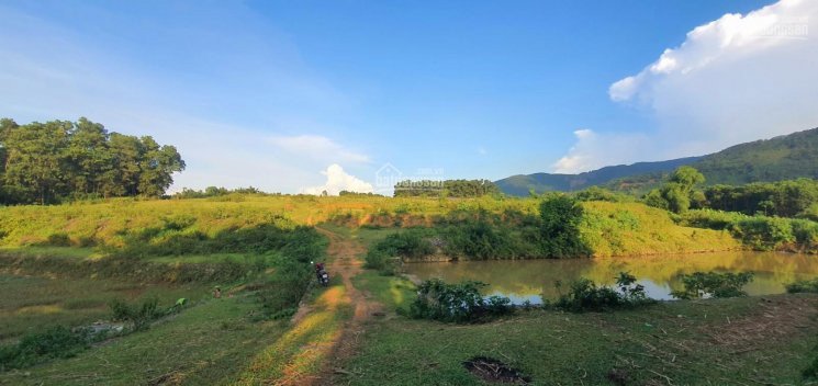 Chính Chủ Bán Nhanh đất Thổ Cư 3500m Giá Rẻ, View Cực Thoáng, đẹp Tại Xã Cư Yên , Lương Sơn 4