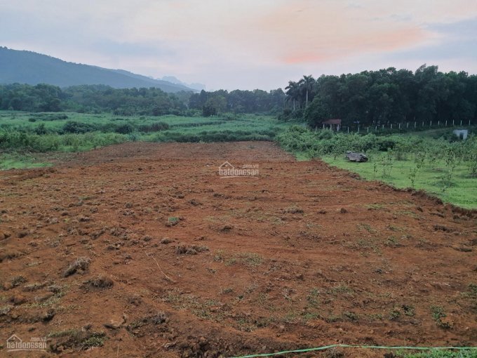 Chính Chủ Bán Nhanh đất Thổ Cư 3500m Giá Rẻ, View Cực Thoáng, đẹp Tại Xã Cư Yên , Lương Sơn 6