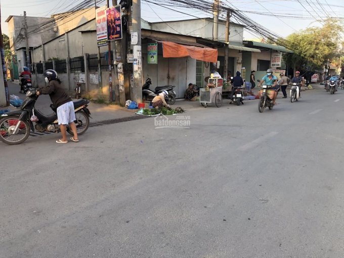 Chính Chủ Bán Nhanh Gấp đất Mt đường Nguyễn Khuyến Gần Ngay Trường Th Trảng Dài, Giá Chỉ 750tr, Dt: 80m2, Shr, Lh: 3