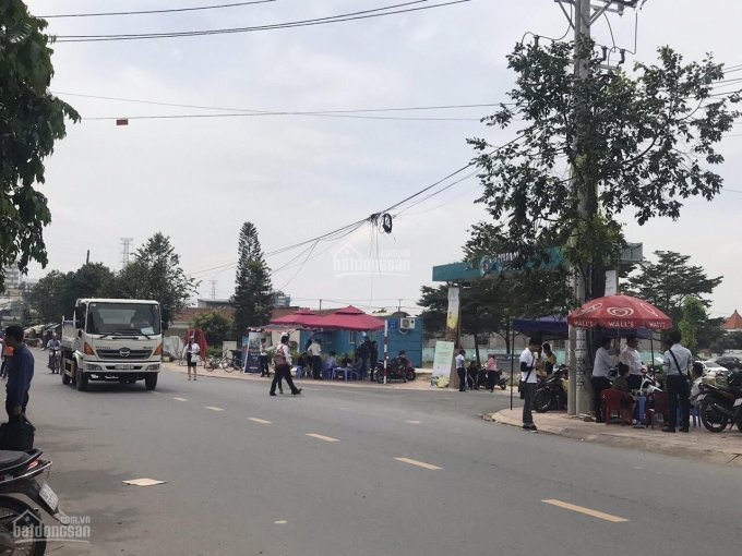 Chính Chủ Bán Nhanh Gấp đất Mt đường Nguyễn Khuyến Gần Ngay Trường Th Trảng Dài, Giá Chỉ 750tr, Dt: 80m2, Shr, Lh: 5