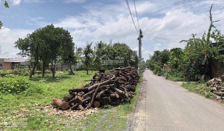 Chính Chủ Bán Nhanh Hơn 1 Sào đất Hiệp Hòa, Gần đường đỗ Văn Thi 3