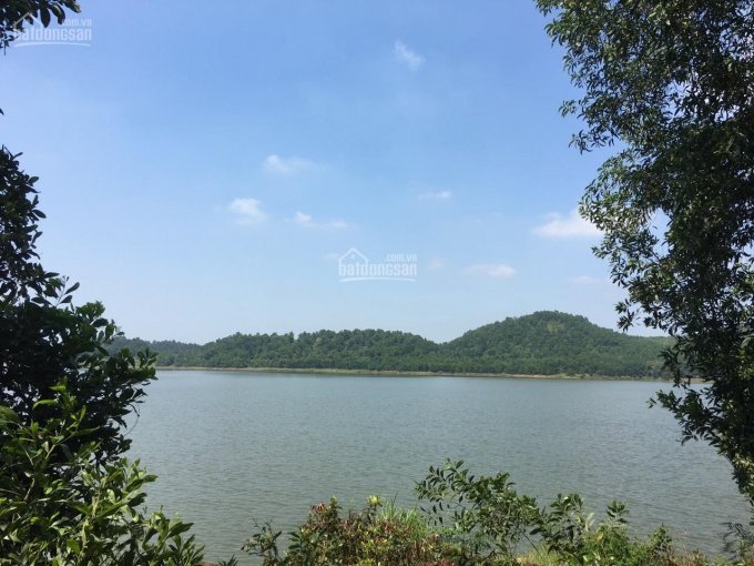 Chính Chủ Bán Nhanh Nhà Vườn Khu Sinh Thái Xanh View Hồ đồng Quan Sóc Sơn Hà Nội 10000m2, Lh 0973466559 4