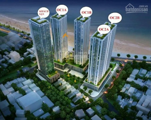 Chính Chủ Bán Nhanh Nhanh Căn Hộ Mường Thanh, View Biển Trực Tiếp, Giá Tốt Lh 0986249578 Kim Ngân