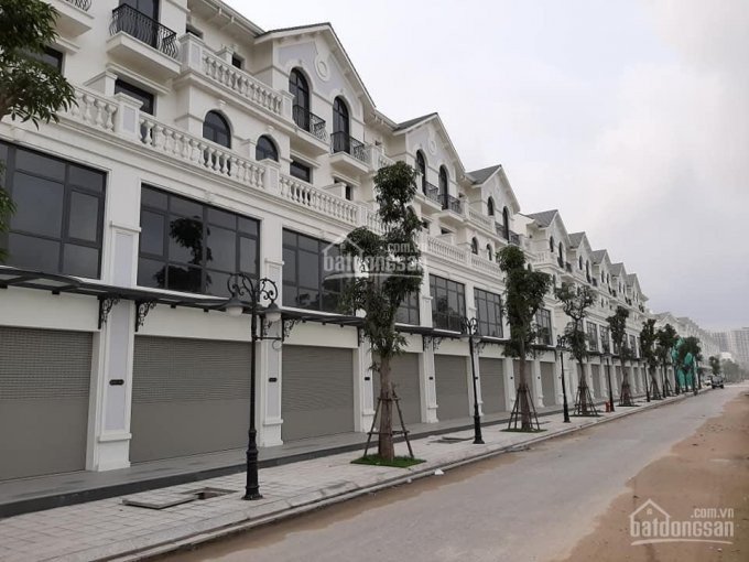 Chính Chủ Bán Nhanh Shophouse Sb23 Vinhomes Ocean Park Sổ đỏ Vĩnh Viễn, Vừa ở Vừa Kinh Doanh Xây 4,5 Tầng đường 40m