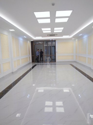 Chính Chủ Bán Nhanh Tòa Nhà Mặt Phố Trần Duy Hưng, Cầu Giấy Vip 120m2, 8t, Mt 8m, 1000m2 Sd 56 Tỷ Tl 0915686104 5