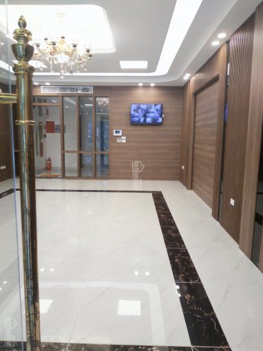 Chính Chủ Bán Nhanh Tòa Nhà Mặt Phố Trần Duy Hưng, Cầu Giấy Vip 120m2, 8t, Mt 8m, 1000m2 Sd 56 Tỷ Tl 0915686104 6