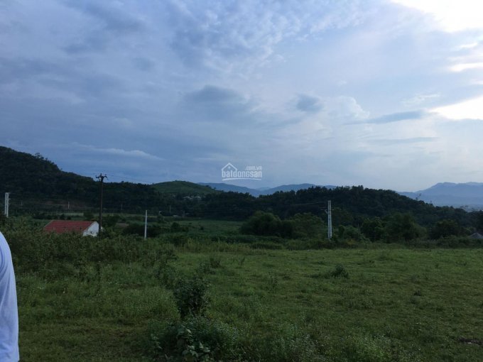 Chính Chủ Cần Bán 1500m2 đất Tại Thôn Quýt Xã Yên Bài, Huyện Ba Vì, Hà Nội 5