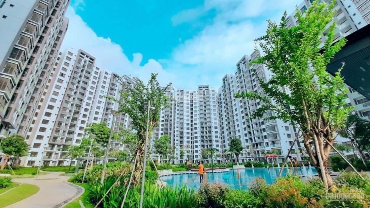 Chính Chủ Cần Bán 2 Căn Duplex 3pn Thông Tầng đẳng Cấp Khu Emerald Celadon City, Tt 50% Nhận Nhà ở Ngay 8