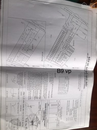 Chính Chủ Cần Bán 3 Lô đất Dự án Việt Phát 2 1/ đường Bưng ông Thoàn Phường Phú Hữu Giá Chỉ 2tỉ600 4