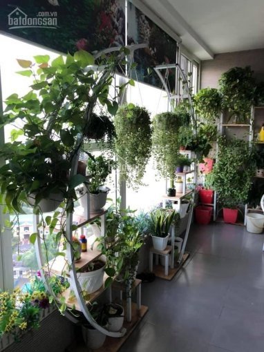 Chính Chủ Cần Bán Căn Góc 3pn Chung Cư Giá Rẻ Tại Cầu Giấy - Hà Nội 8