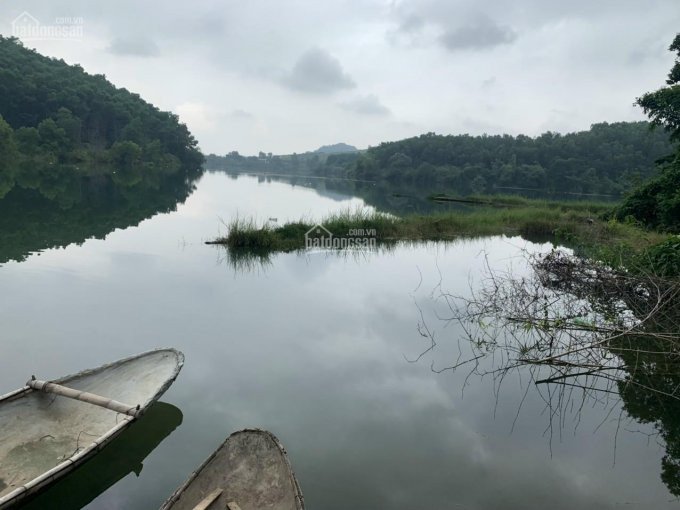 Chính Chủ Cần Bán Dt 1,6ha 1 Bán đảo Hồ Lớn Rất đẹp để Làm Khu Nghỉ Dưỡng Resort đầu Tư Phân Lô Giá Rẻ 4