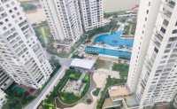 Chính Chủ Cần Bán Gấp 2 Căn Sky Villa Lk-view Sông Sg - Bitexco - Cầu Phú Mỹ - Landmart 81 - Hồ Bơi, Sân Vườn 13