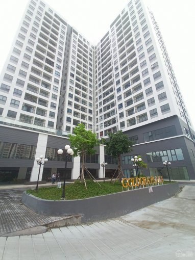 Chính Chủ Cần Bán Gấp Căn 58m2 Goldora Plaza , Tặng Thêm 10 Triệu Và Chiết Khấu 2% Lh : 0938973686 3