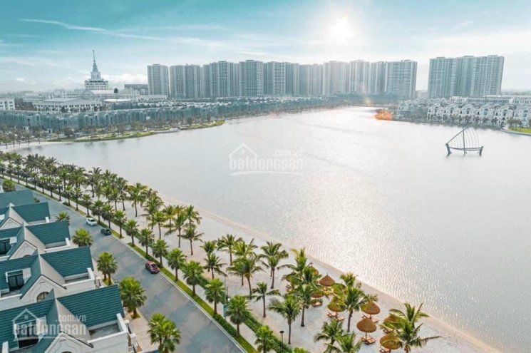 Chính Chủ Cần Bán Gấp Căn Liền Kề Vinhome Ocean Park, Cam Kết Rẻ Nhất Dự án 2