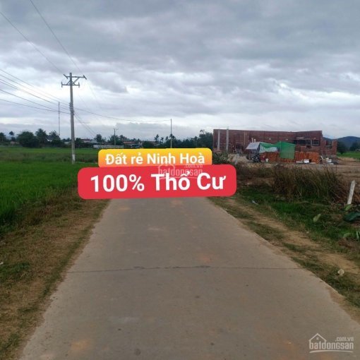 Chính Chủ Cần Bán Lô đất Cực đẹp ở Ninh An 4