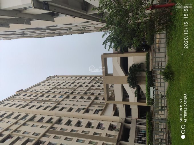 Chính Chủ Cần Bán Mảnh Mặt Tiền đường Bưng ông Thoàn đường 30m Dt: 12000m2 Giá 55tỉ