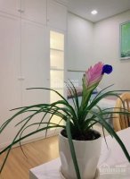 Chính Chủ Cần Bán Trong Tuần 2 Căn Hộ đầu Tư 2pn, 2vs, Cc Central Field 219 Trung Kính Giá 2,4 Tỷ 10