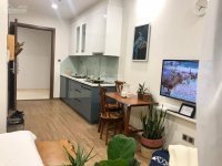 Chính Chủ Cần Cho Thuê Căn Hộ Cao Cấp 1pn Studio 28m2 Giá Chỉ Từ 5tr/th, Lh 0966386282 10