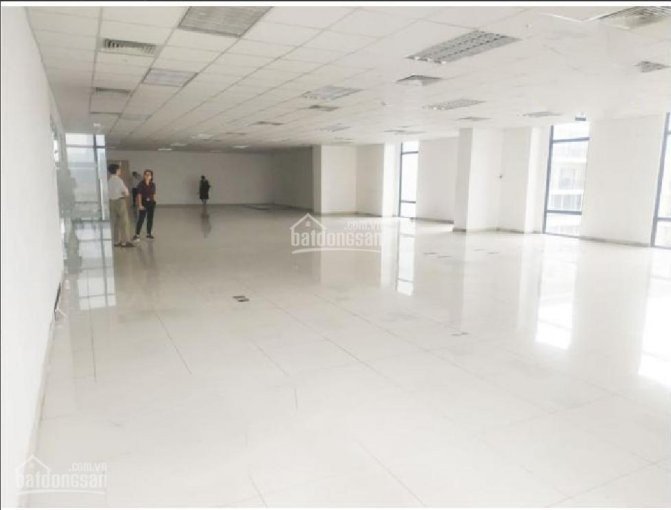 Chính Chủ Cần Cho Thuê Sàn Vp 300m2 Phố Nguyễn Công Hoan Phù Hợp Mọi Mô Hình Vp Lh 0973485030 2