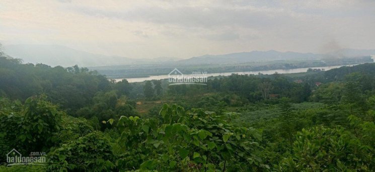 Chính Chủ Cần Chuyển Nhượng Mảnh đất 8000m Minh Quang Ba Vì View Sông đà Giá Mềm 5