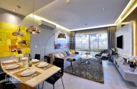 Chính Chủ Cho Thuê Nhanh Căn Hộ Sunrise City View, Mới 100%: Dt 37m2, 48, 56, 74, 114m2, Giá 8-20tr 0977771919 2