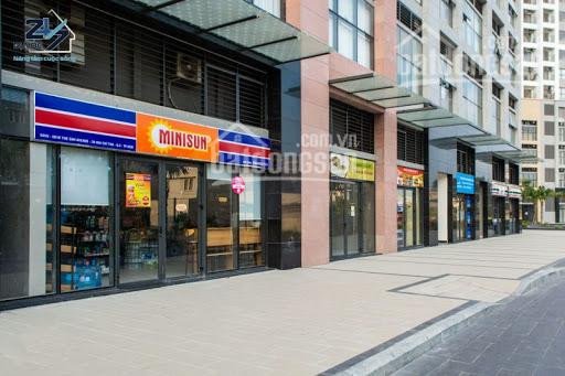 Chính Chủ Cho Thuê Nhanh Căn Sun Avenue, Giá 7 - 13tr/tháng Cho Diện Tích 36 - 76m2, Full Nội Thất Lh 0938642148 3