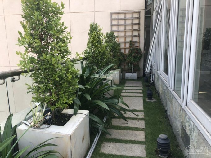 Chính Chủ Cho Thuê Nhanh Duplex Sân Vườn 500m2 View Toàn Cảnh Sông, Nội Thất Cao Cấp Có Hồ Bơi Riêng Trên Không 5