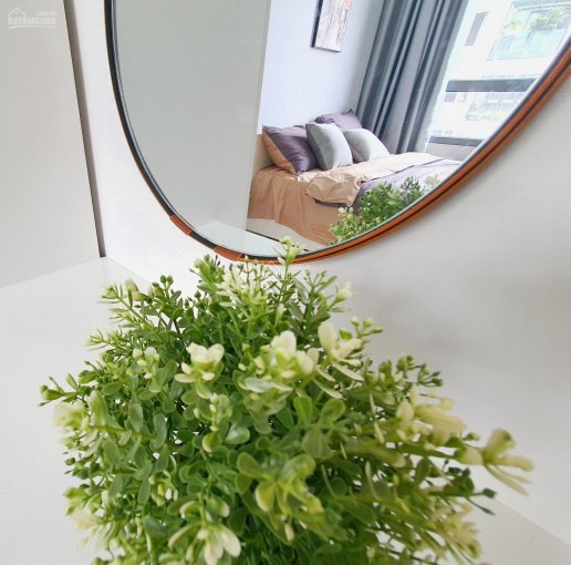 Chính Chủ Cho Thuê Nhanh Gấp Chcc Lexington, Quận 2, 49m2, 2pn Giá 8,5 Triệu/tháng 4