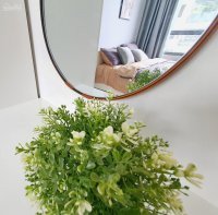 Chính Chủ Cho Thuê Nhanh Gấp Chcc Lexington, Quận 2, 49m2, 2pn Giá 8,5 Triệu/tháng 9
