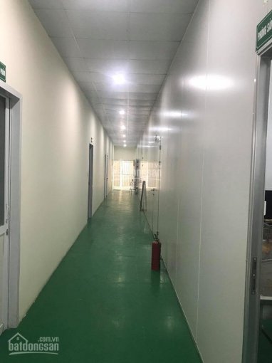 Chính Chủ Cho Thuê Nhanh Kho Xưởng 400m2 Phù Hợp Sx Chế Biến Thực Phẩm, Sạch Sẽ Tại Quỳnh đô, Phan Trọng Tuệ 4