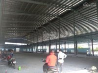 Chính Chủ Cho Thuê Nhanh Xưởng Ql22, Hóc Môn,1000 - 10000m2, Giá 70 Tr/th 7