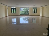 Chính Chủ Cho Thuê Vp Nguyễn Khang Dt 120m2, Free Dịch Vụ Giá Vô Cùng Hợp Lý, Lh: 0989048753 6